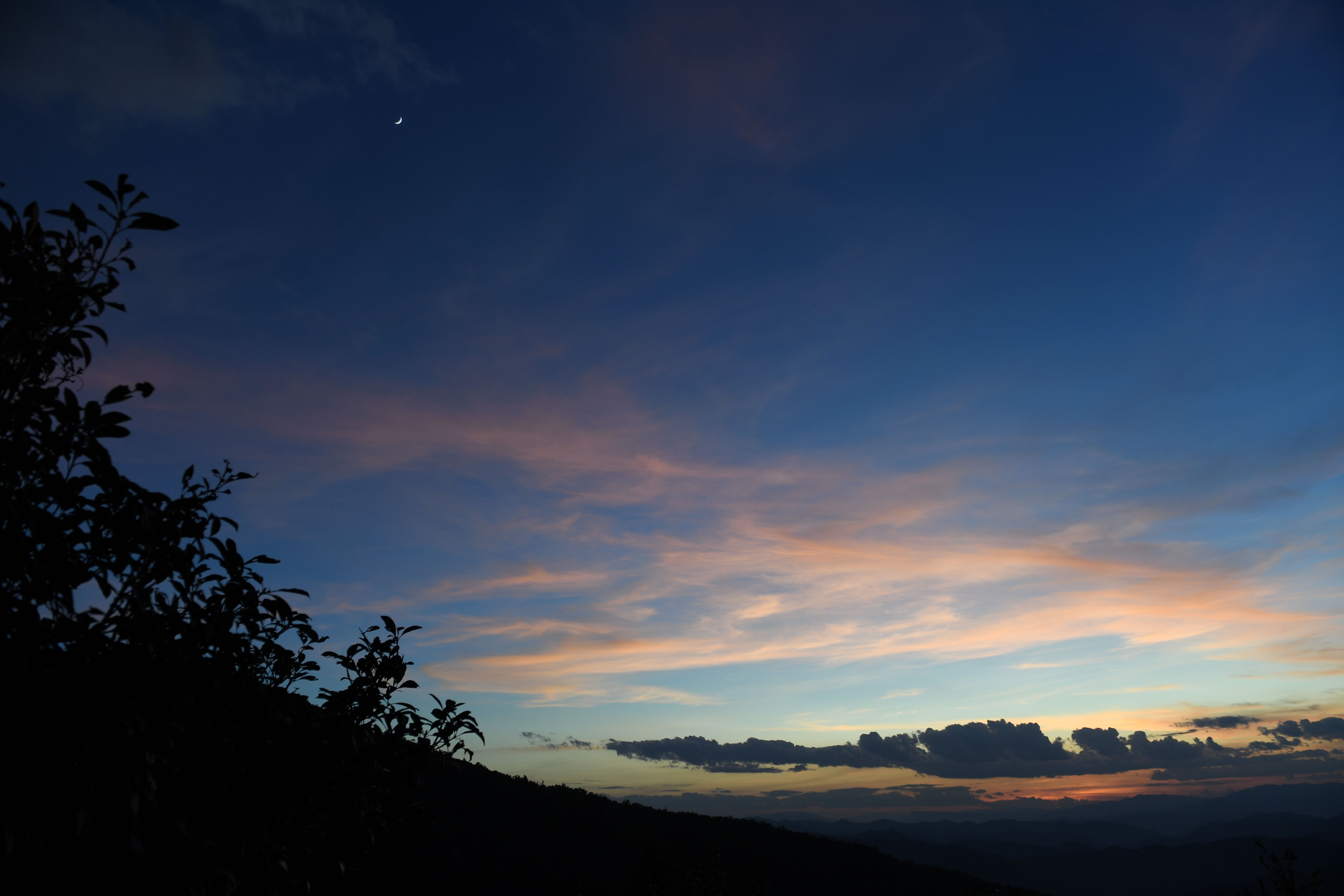云南宁洱:困鹿山茶园景色秀丽