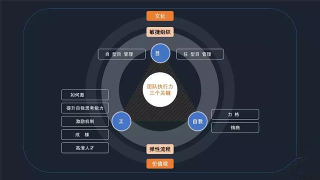 如何快速打造高效团队?你应该了解的三大核心要素