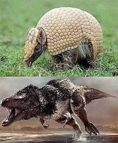 浑身鳞片的狰狞恐龙,是它真实的模样吗?真相让人傻眼