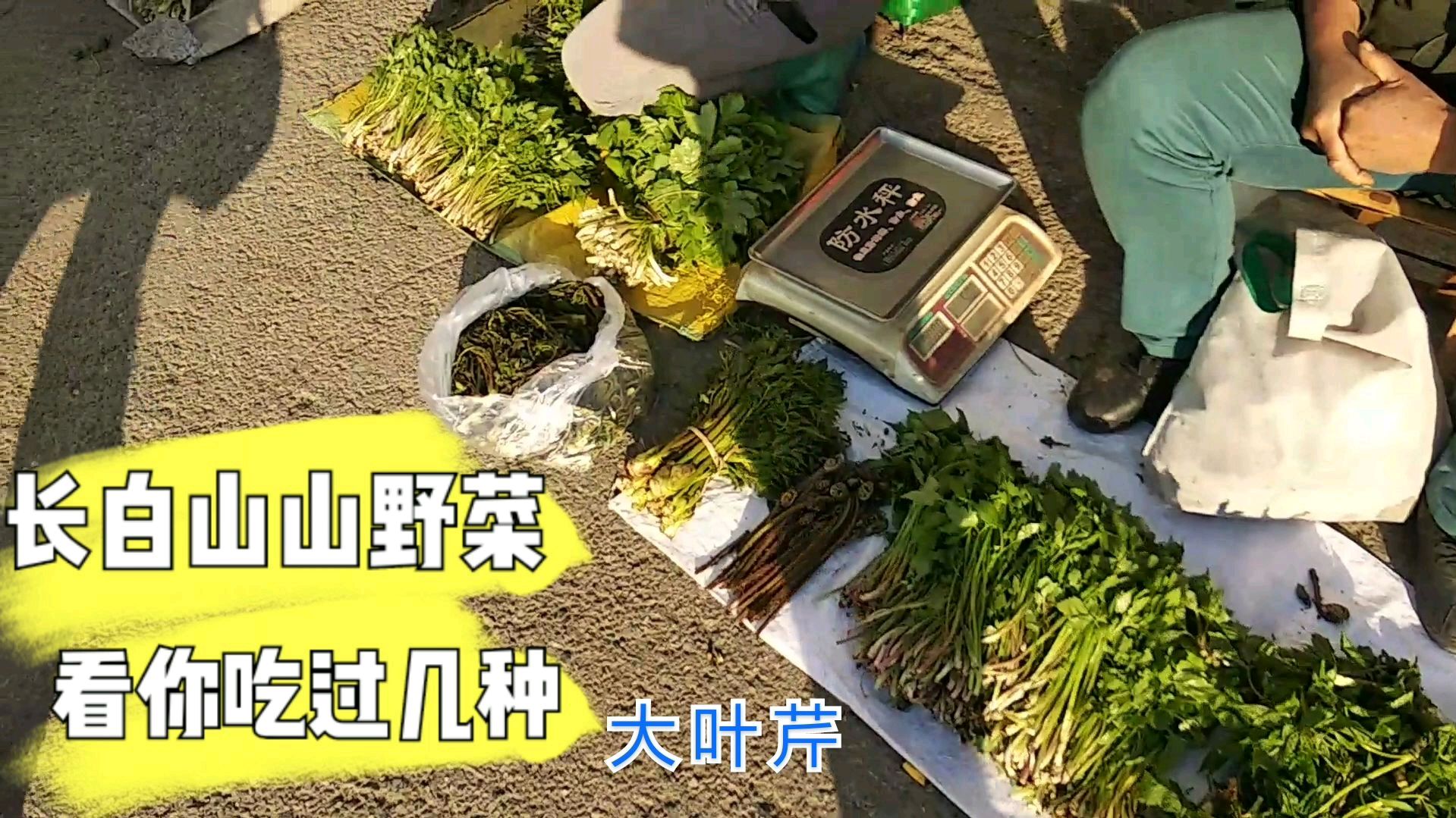 白山市的长白山山野菜,大量上市了!看看价格咋样?您吃过几种?