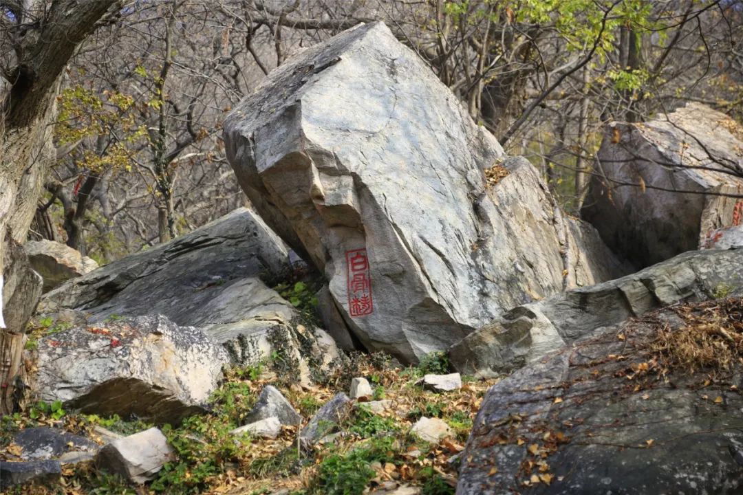 沐浴着春风春光,让我们一起走进国家级地质公园-花果山的怪石园