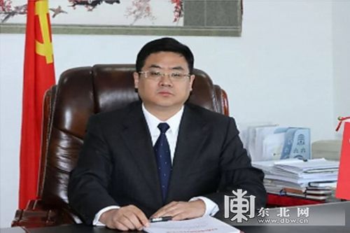 [网络新春大拜年]桃山林业局局长安东向网友祝贺新春
