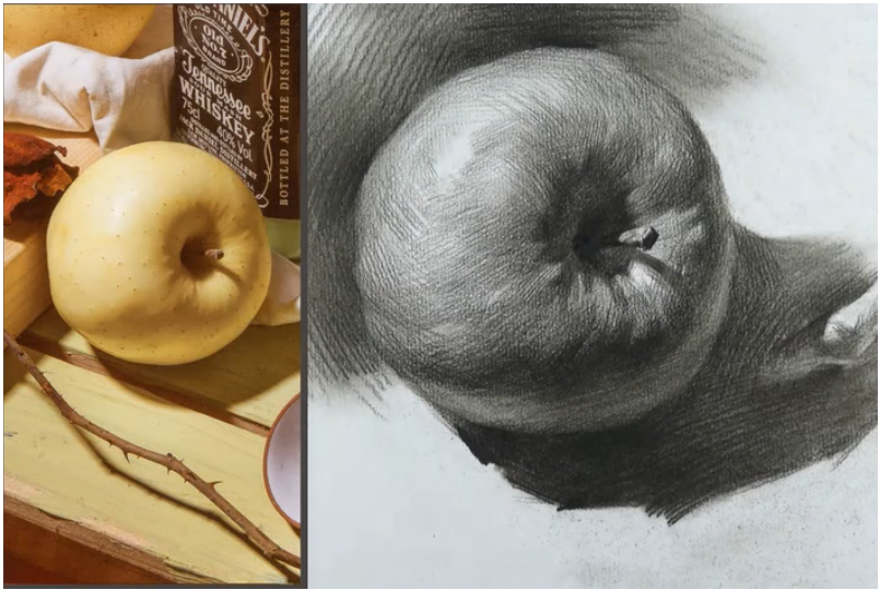 快速掌握,苹果单体素描