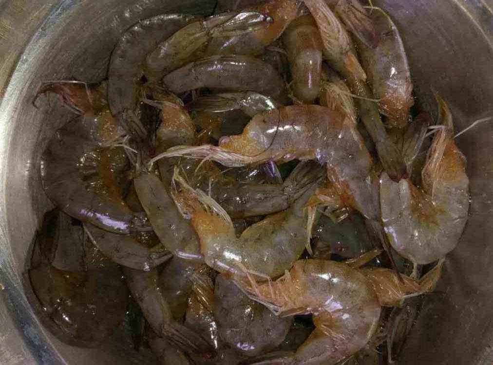 少了"1步",虾肉又老又腥