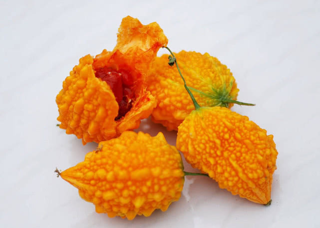 农村这种"山苦瓜",味道却很甜,营养很是丰富,农民请重视