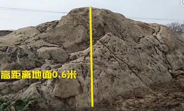 中国最矮的山,不足一米,却是重点保护对象,网友 "这也叫山"