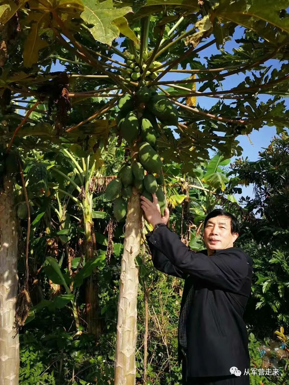 我的朋友—战斗英雄潘细腊的故事