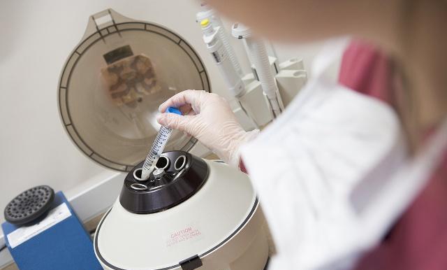 鲜胚的质量可能比冻胚更好,受到的损失也更小冻胚在冷冻和复苏的过程