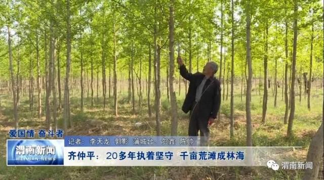 齐仲平:20多年执着坚守 千亩荒滩成林海