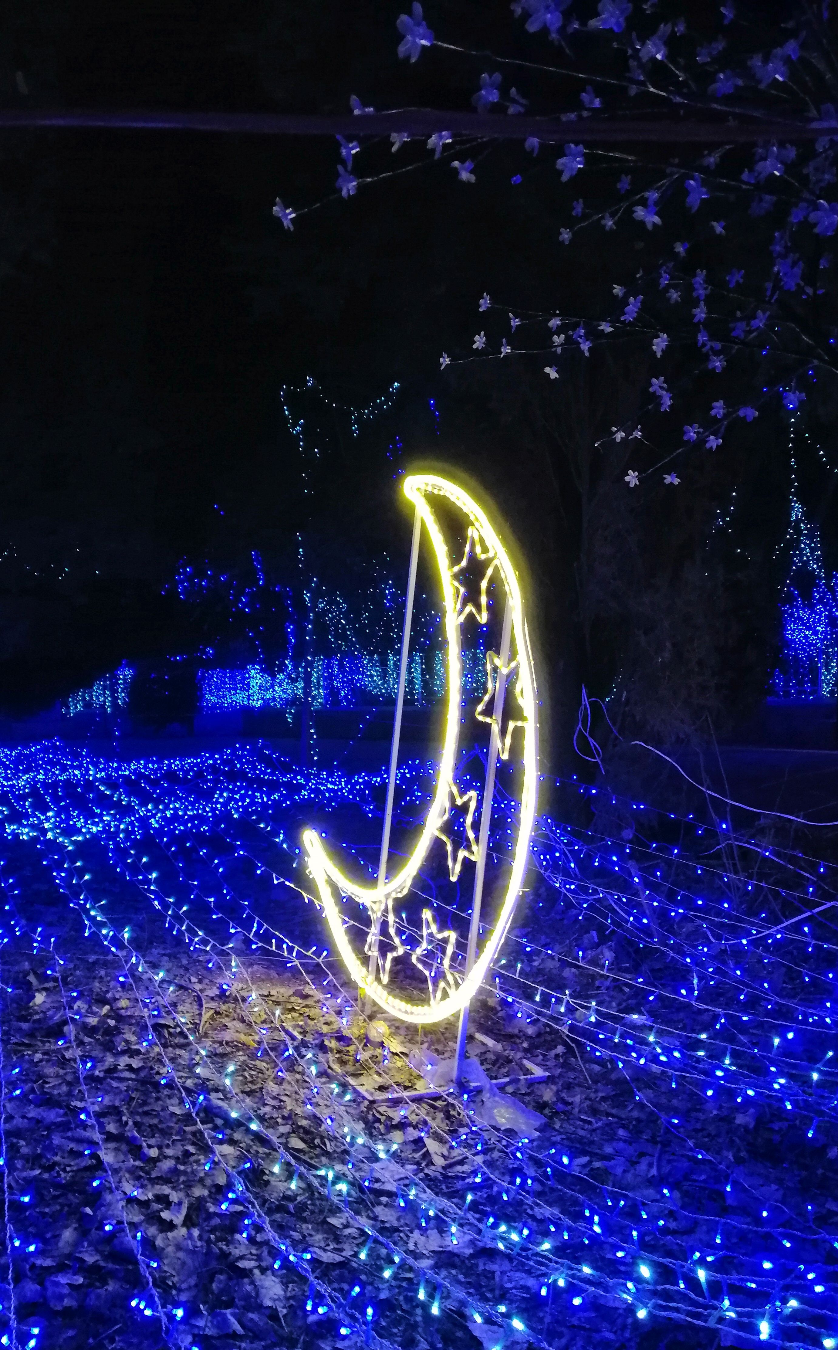 商丘木兰祠灯展照片