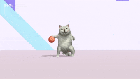 mur猫打篮球图片