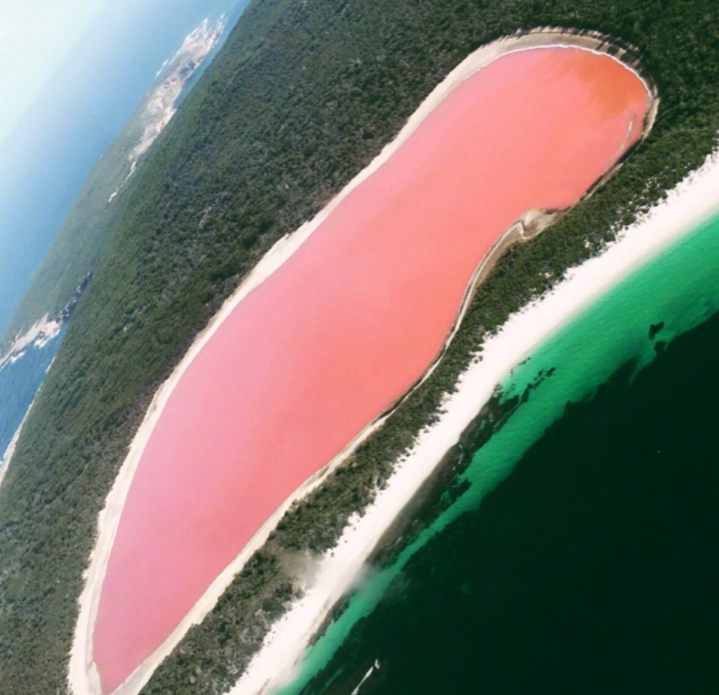 从远处望去,希勒湖的湖水就像一滩草莓奶昔一样,湖水呈现美轮美奂的