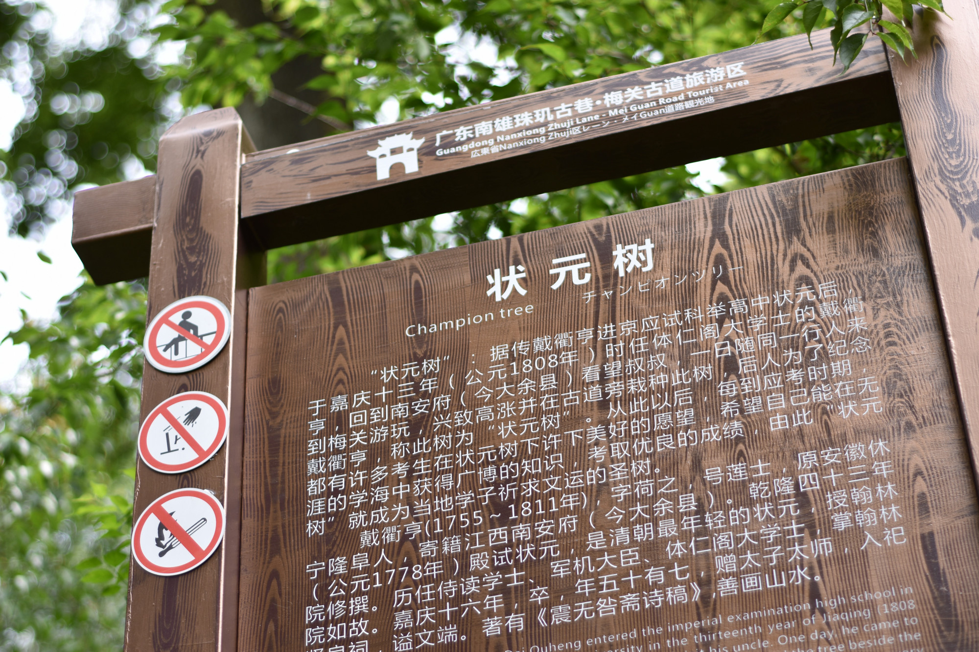 最年轻的状元和他已212岁的"状元树",引无数学子膜拜祈愿