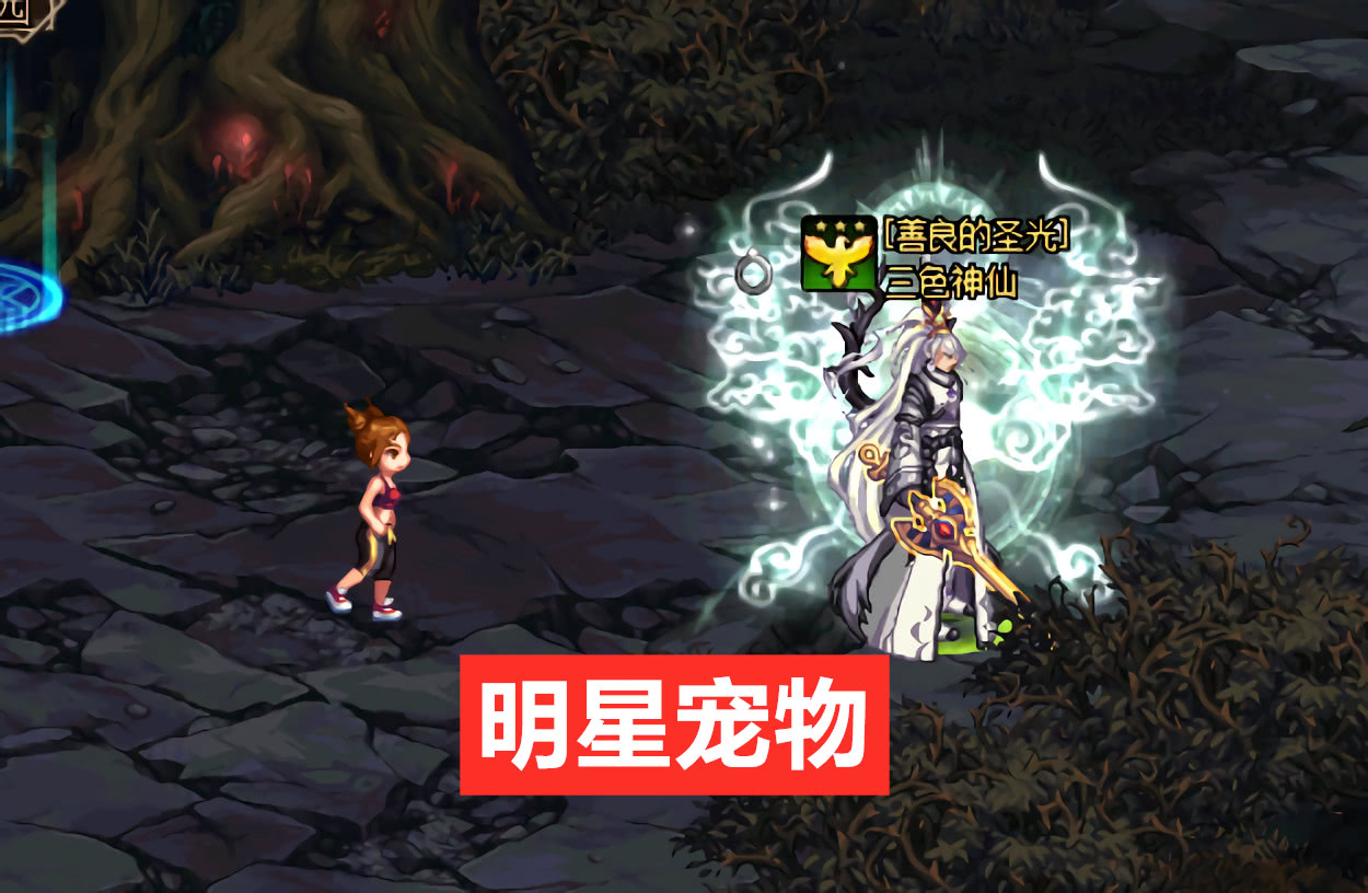 dnf:宠物幻化即将来临,盘点最好看的宠物,这四个你有几个?