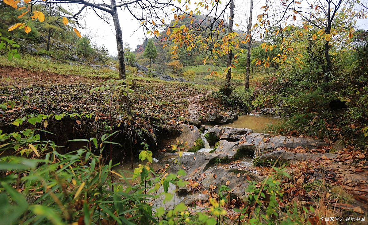 海盐于城镇三官堂古道,徒步溪水野花遍野,自然探索!