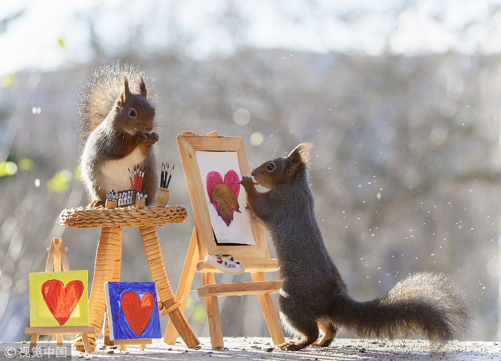 秋天是画画的季节!德国小松鼠变身"写实派画家"画红叶