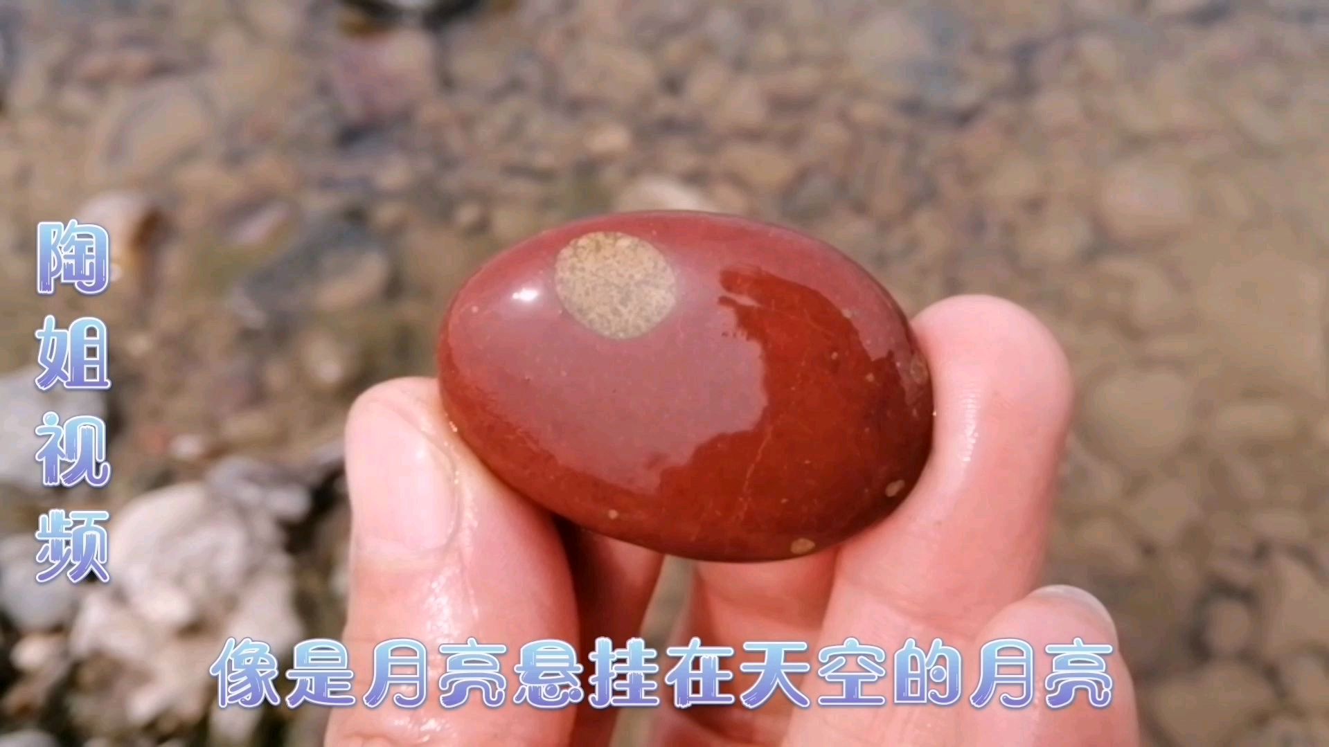 洛阳大哥在伊河发现鸡血石,全身红亮红亮的,价值还挺高