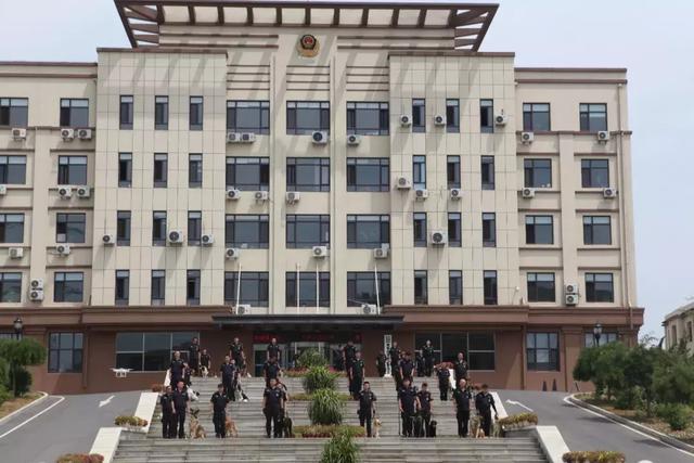 「关注」身份真实!大连来了一批超萌的警官