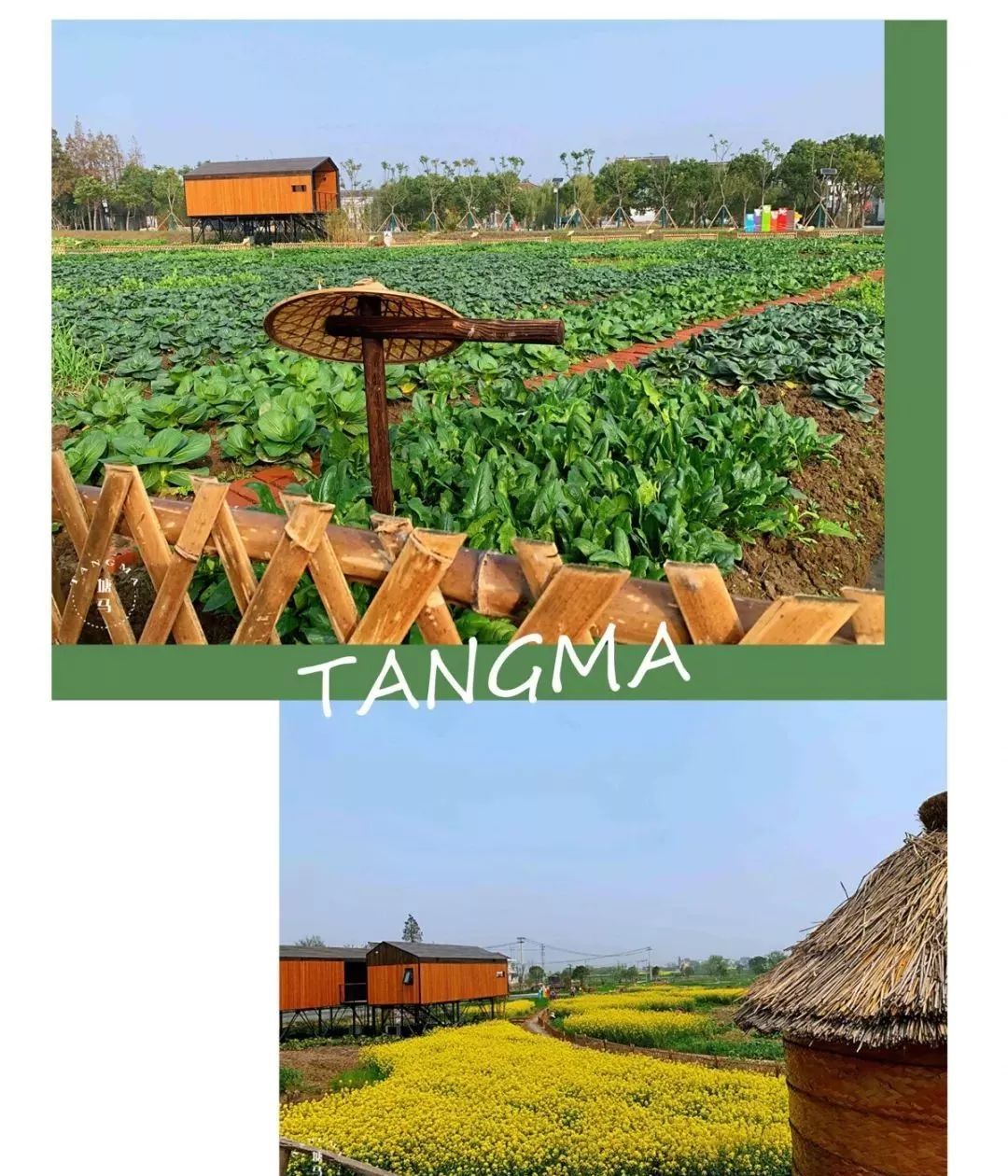 溧阳网红村塘马再次推出"我家自留地"