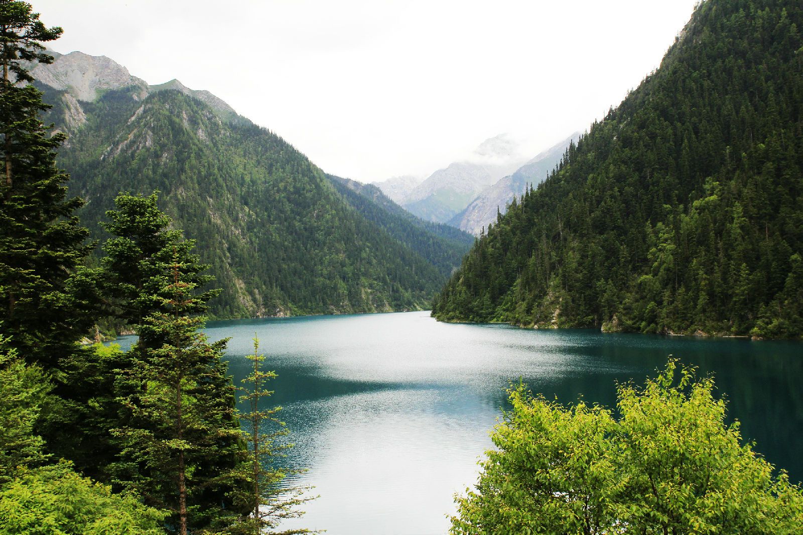 除了成都杜甫草堂,乐山峨眉山风景区以外,这些空气湿润的旅游休闲场所
