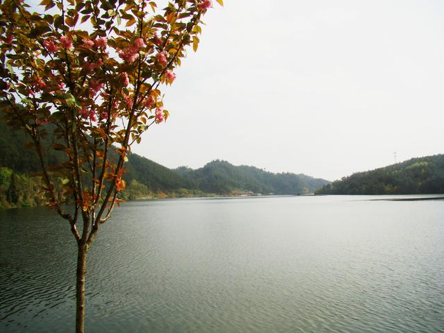 汉中市重点打造的"四湖"之一,城固南沙湖风景区