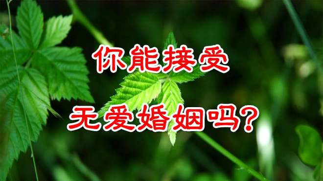 [图]你能接受无爱的婚姻吗？很现实