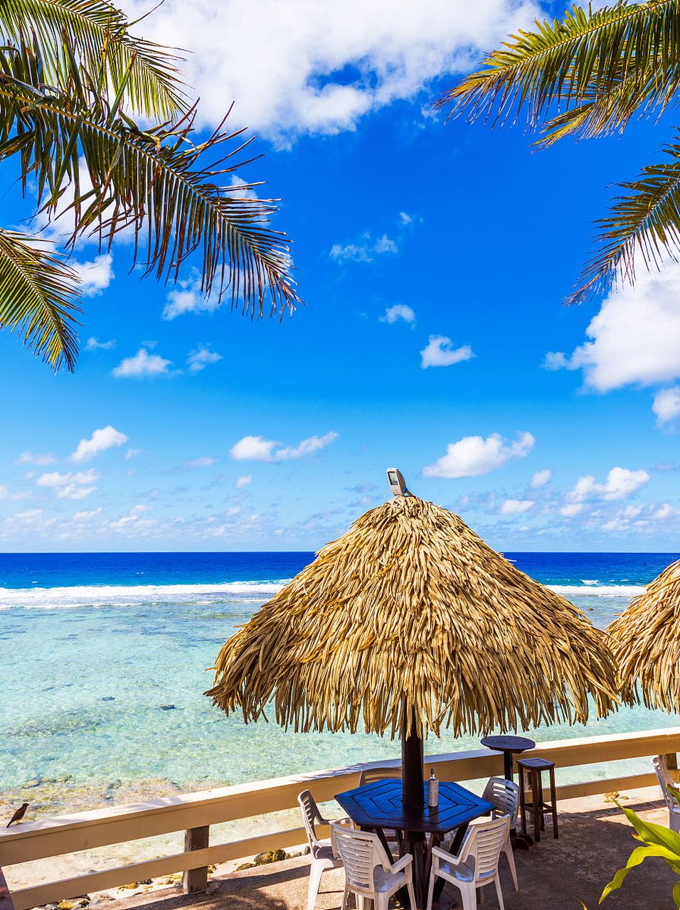 我的年度旅行记# 三亚,热带海岛风情?没错!蜈支洲岛,让我难以忘怀!