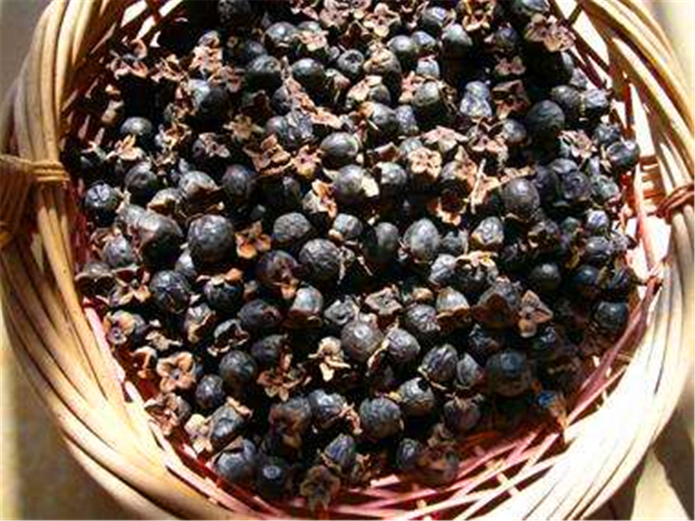 南方山村孩童吃腻的"羊屎果",如今成稀罕货,城里1斤卖近百元