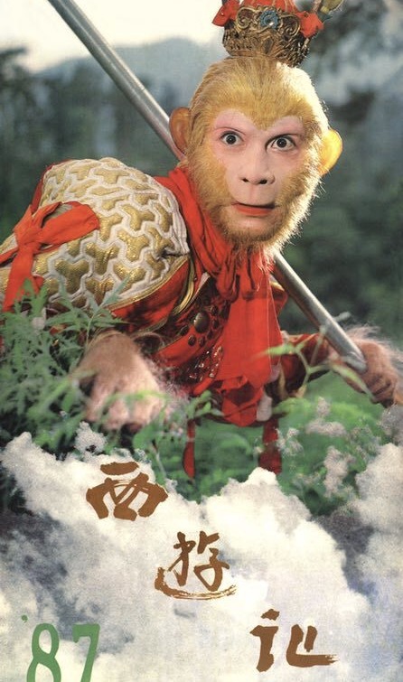 西游记剧组重聚,为什么每次都没有唐僧扮演者徐少华?