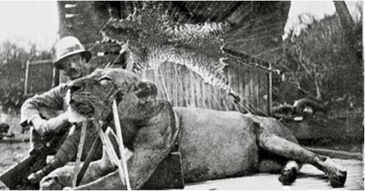 约135人被吃掉,100多年前肆虐肯尼亚的恐怖恶魔,察沃的食人魔!