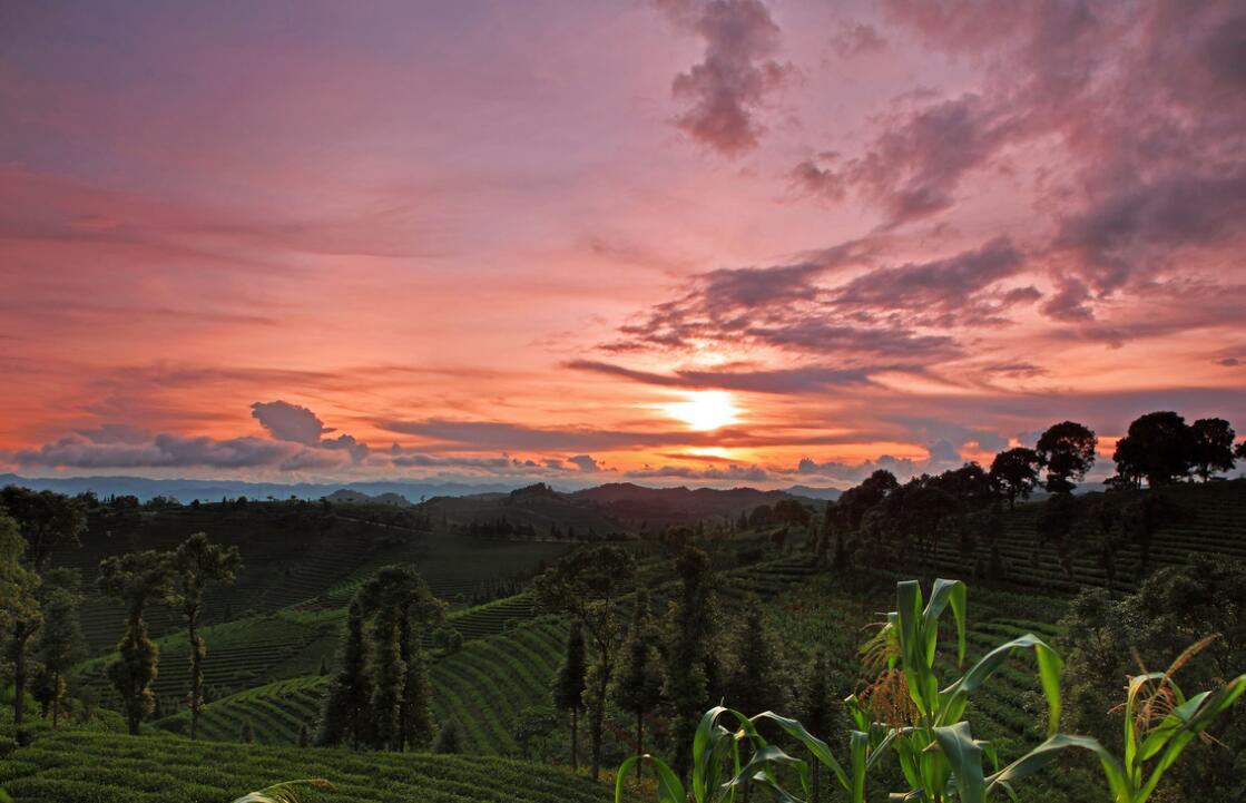 云南普洱——思茅