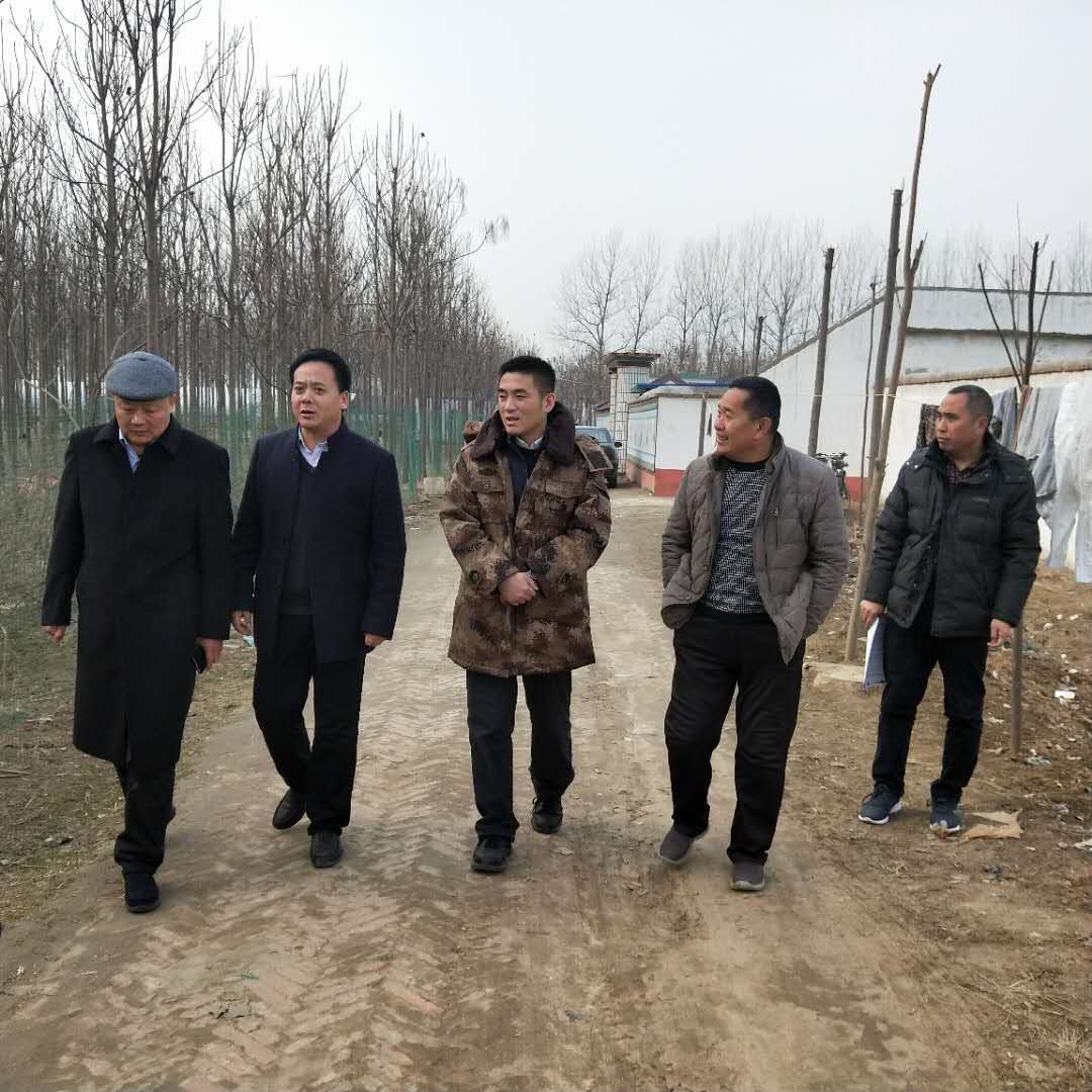 淮阳县白楼镇:扎实推进抓集中供养 多措并举建幸福家园