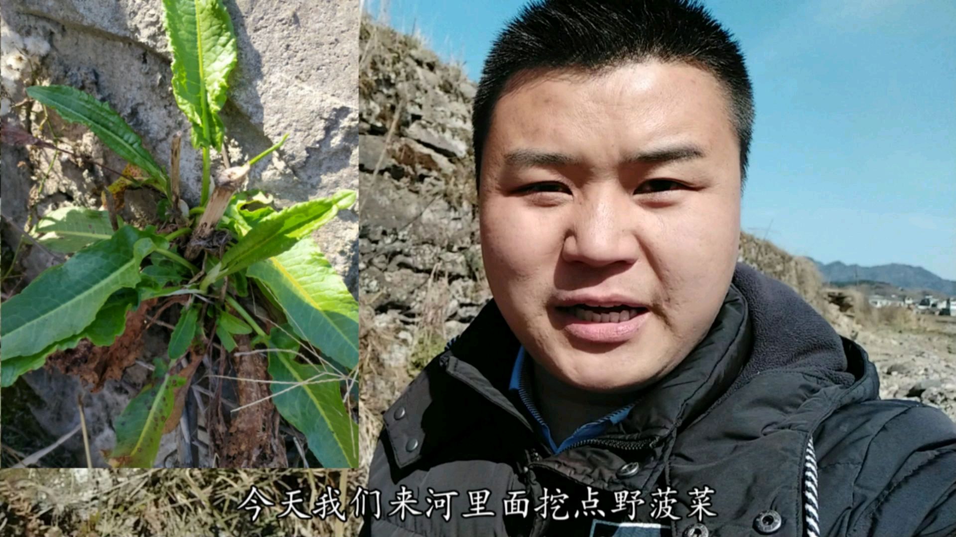 受新型冠状肺炎影响,今天来河边挖草药,不仅功效好,还可以食用