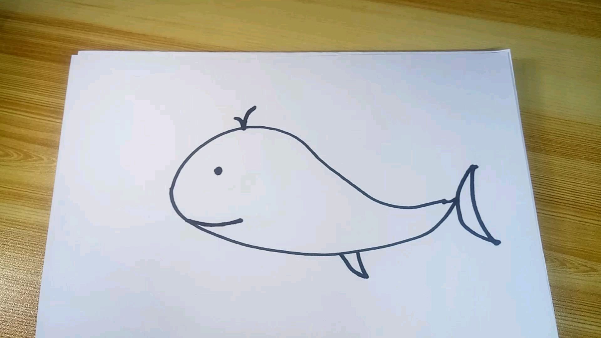 猜猜这个简笔画是鲸鱼还是海豚