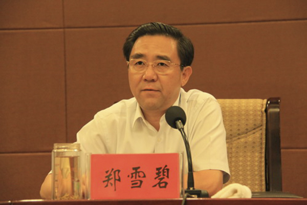 承德原书记郑雪碧申诉被驳回,民企老板为当人大代表向其行贿