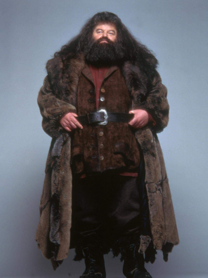 罗彼·考特拉尼在《哈利·波特》中扮演半人半巨人鲁伯·海格