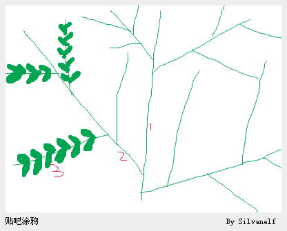 识别几回羽状复叶的简图 3 果实不同 菜豆树—蒴果细长,下垂