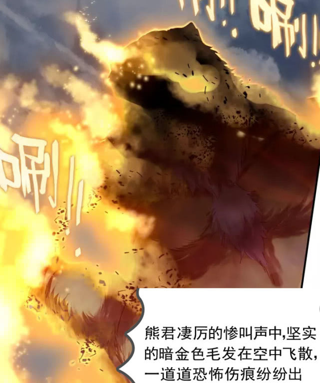 绝世唐门:帝天到底有多强,一记龙王爪让熊君颤抖,直接被拍飞!