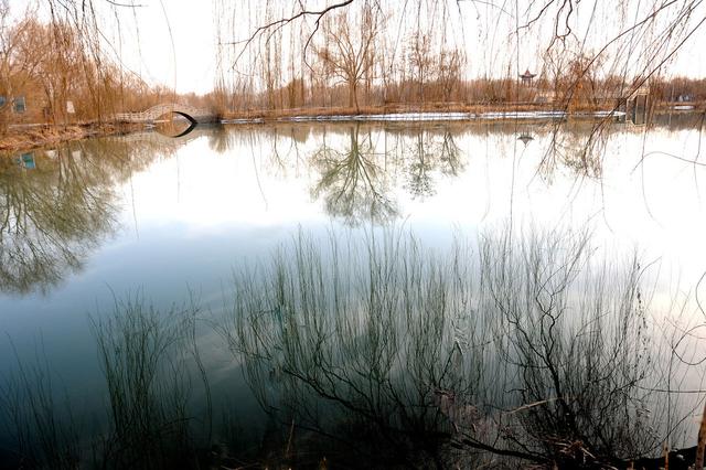 真正的成功和幸福是能接纳自己和肯定自己,让一切顺其自然