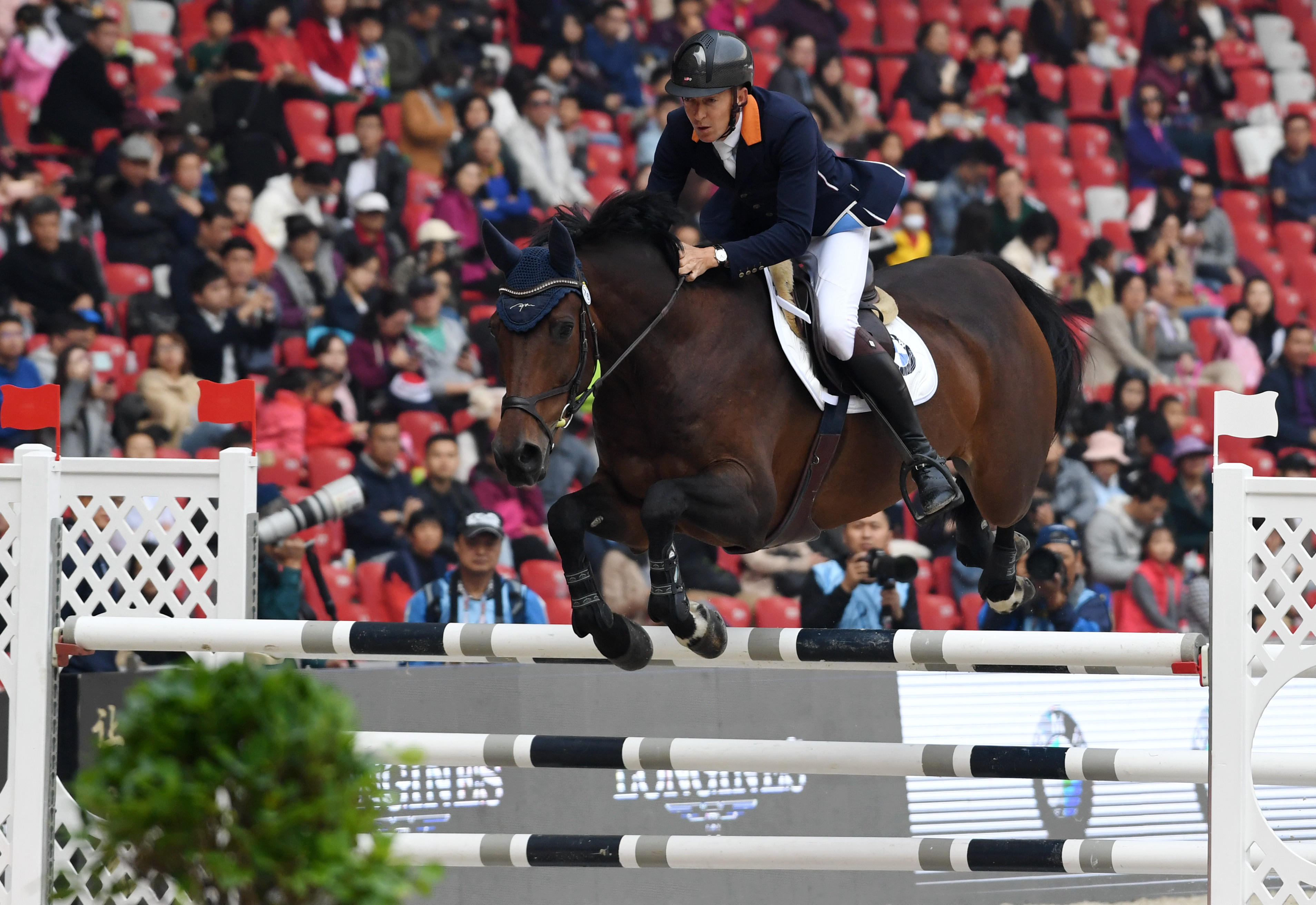 马术——鸟巢观马