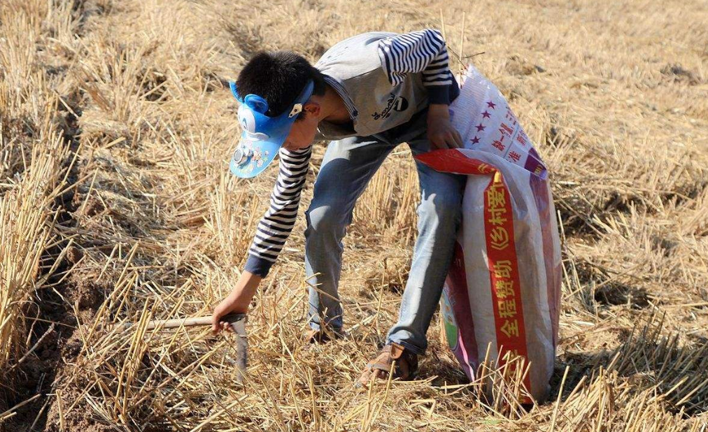 农村年轻人外出打工赚钱,老人不愿带小孩,背后的原因很无奈!