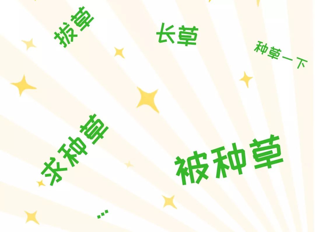 为什么推荐用种草?