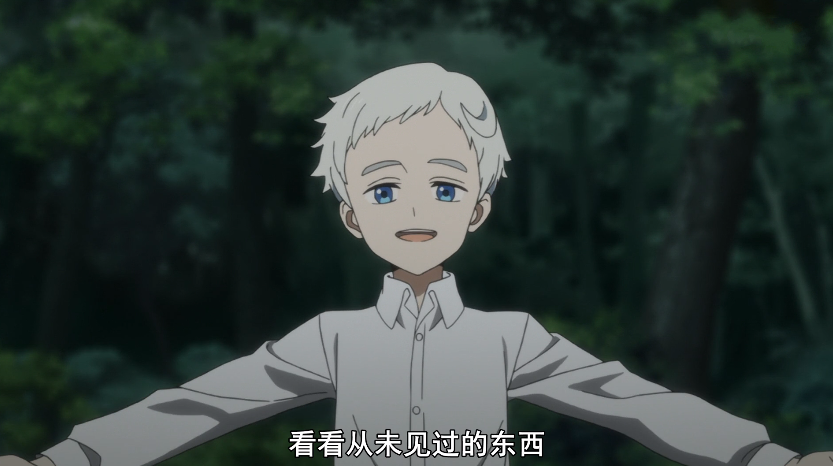 约定的梦幻岛:音画不同步也不能磨灭这部动画的优秀,你会追吗?