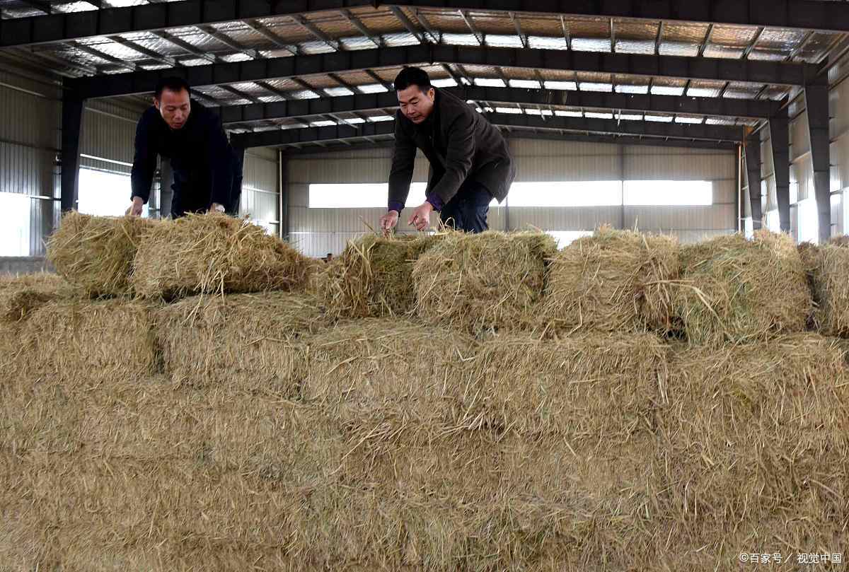 农村致富新项目加工厂(农村加工致富项目农村小型加工厂)