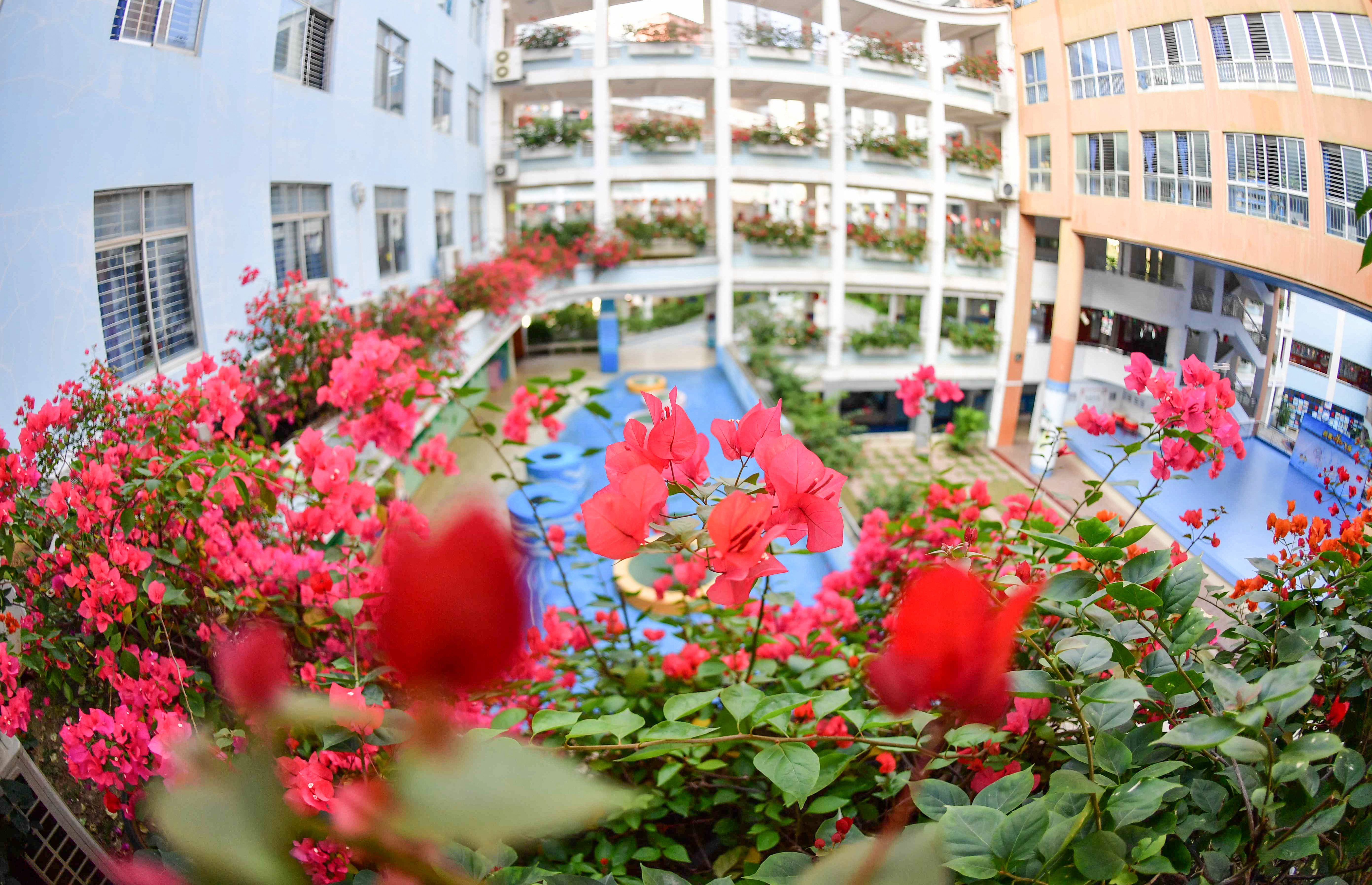 我们的学校似花园