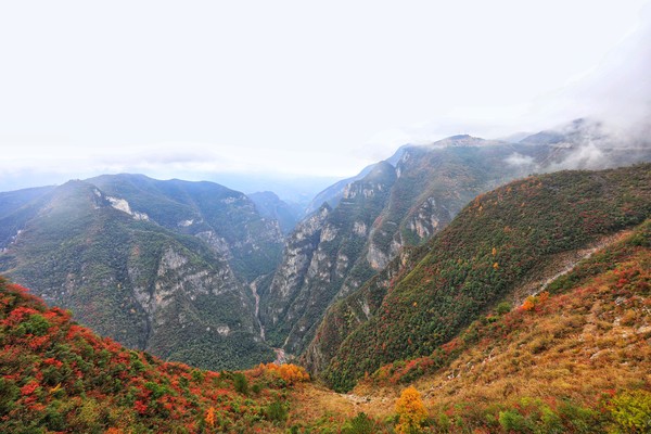 這裡的神女峰是巫山十二峰之最,又名望霞峰,美人峰,仙女峰,神女天下峰