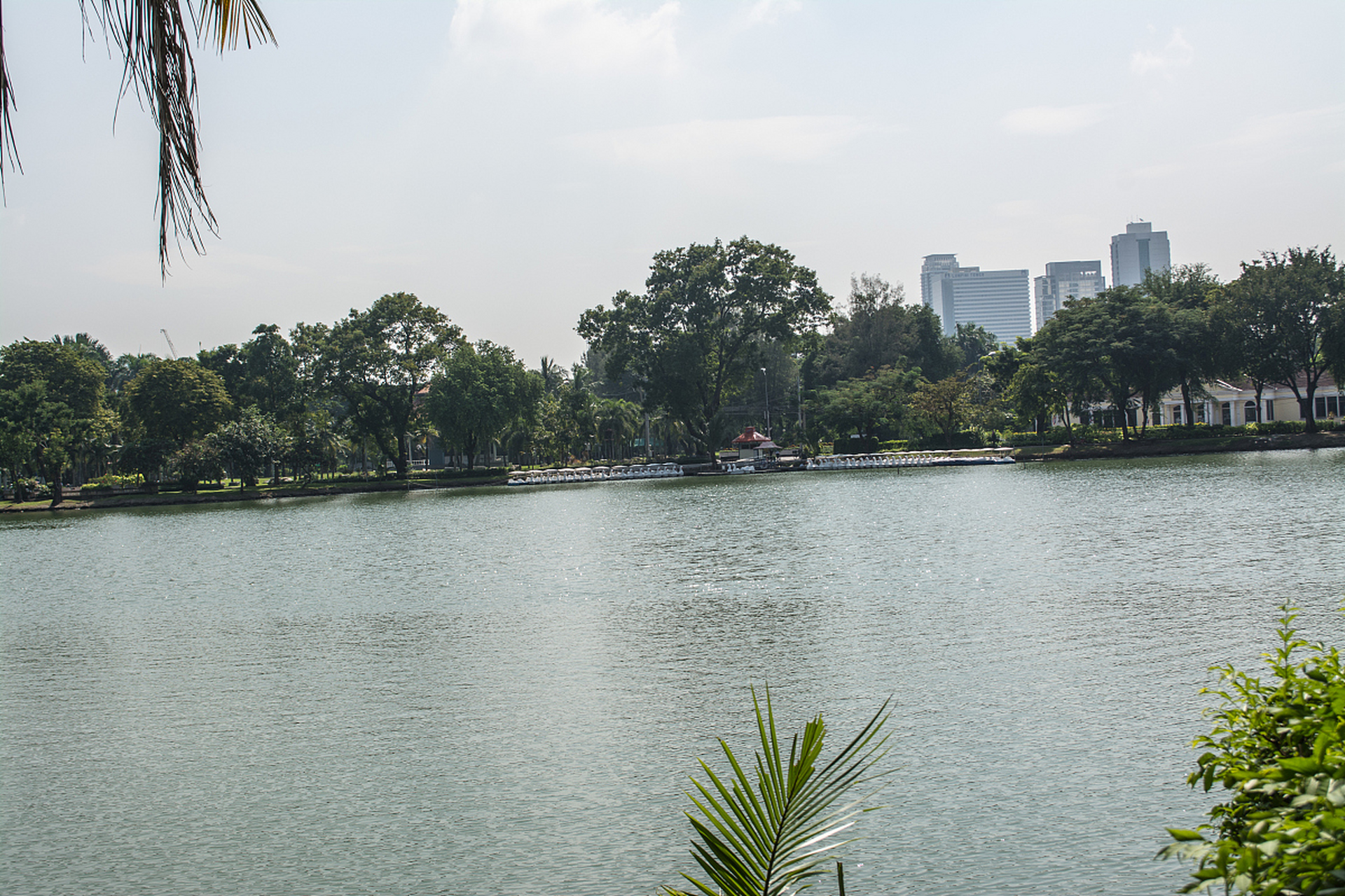 广西民族大学,简称"广西民大",位于南宁,由国家民族事务委员会和广西