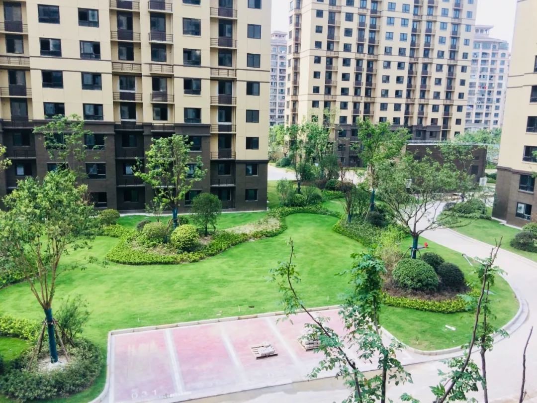 动迁安置房3年半之内能建好,质量堪比商品房?上海这个区做出承诺