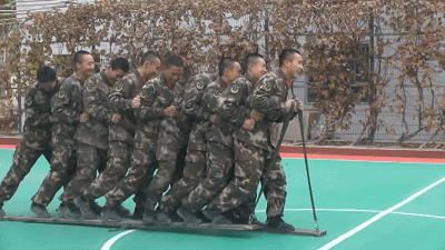 一组动图,带你体验丰富