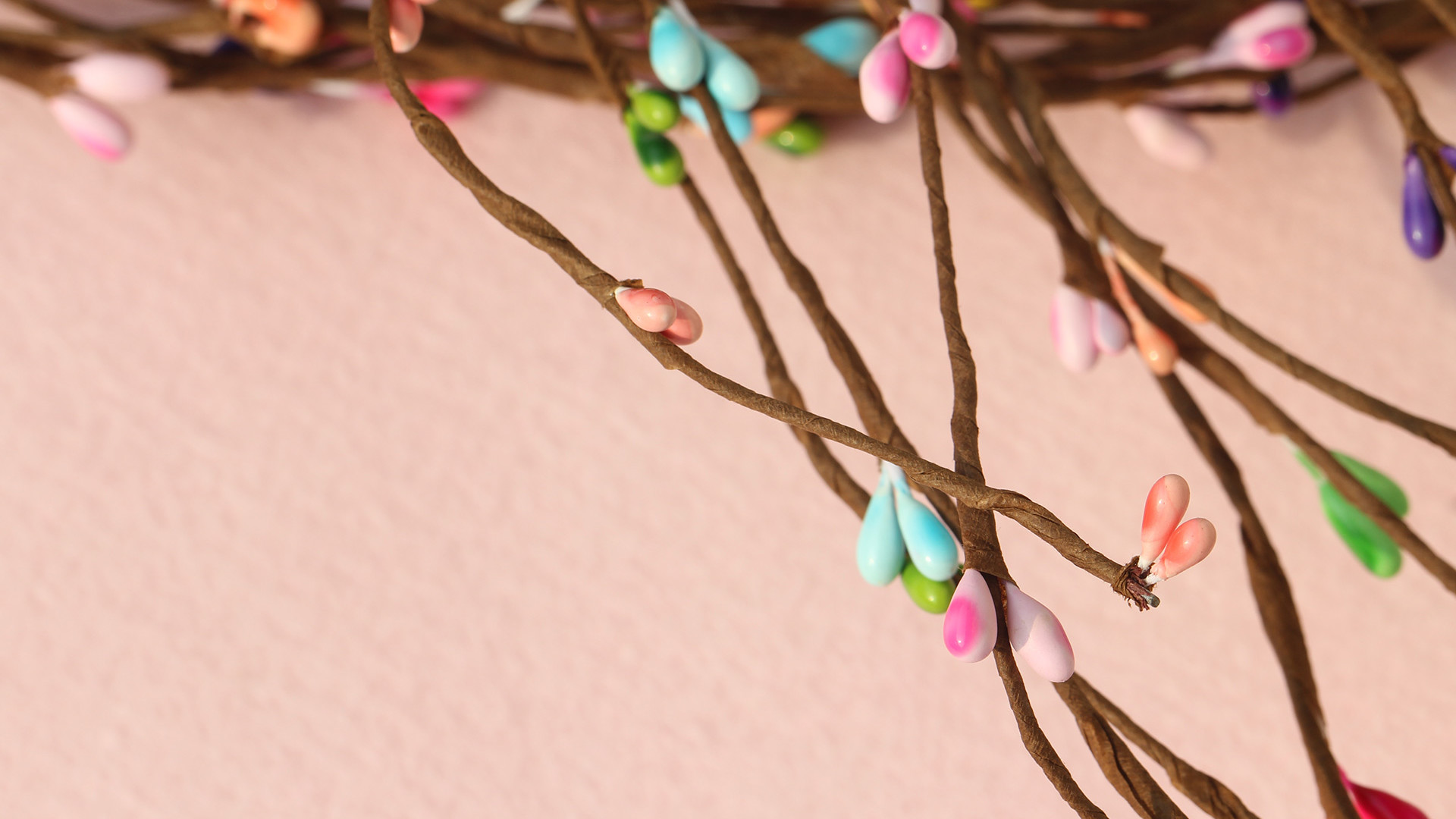 浆果和花朵暖色超清电脑桌面壁纸,分辨率为1920x1080